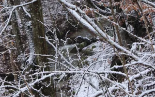 Teren de vanzare I izvor apă minerală  Dangești I 2 Hectare - Poză 24