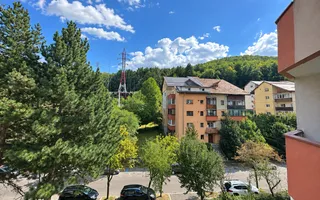 De închiriat-apartament 2 camere-Răcădău-Jepilor-0% Comision - Poză 20