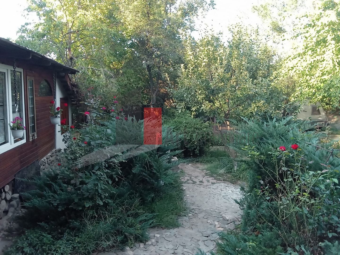 Vânzare teren intravilan Dărăști-Vlașca - Poză 5