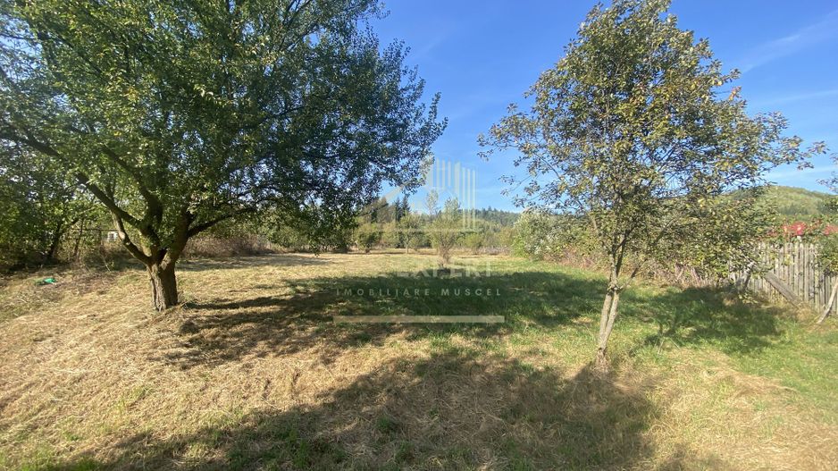 CASA DE VANZARE IN BUGHEA DE SUS CU 3000MP TEREN, PRET 55000 EURO - Poză 4