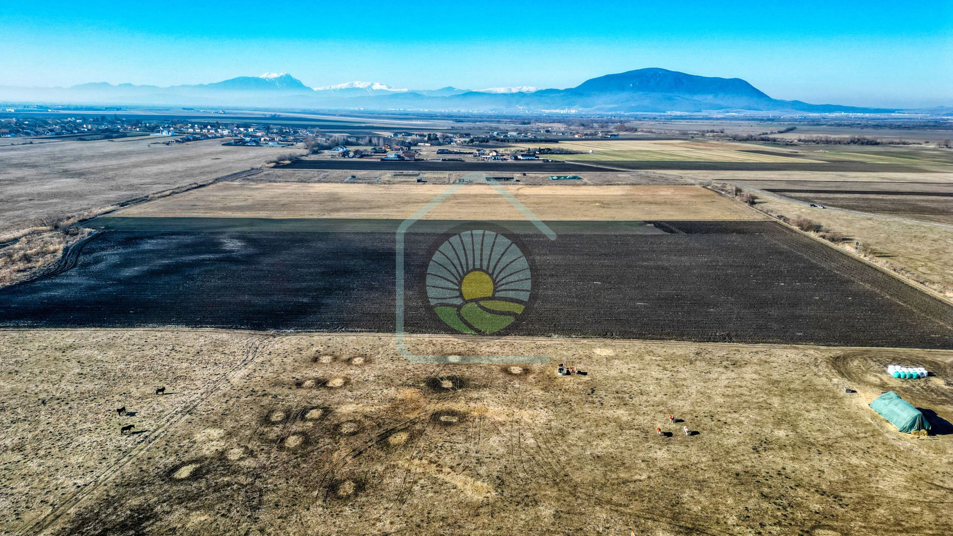 TEREN STUPINI-COMISION 0 - Poză 4