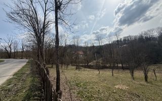 Teren intravilan la asfalt 2100 mp deschidere 21 mp la asfalt! - Poză 4