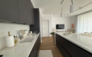 Apartament Jandarmeriei | Stejarii (The Ivy) - Poză 16