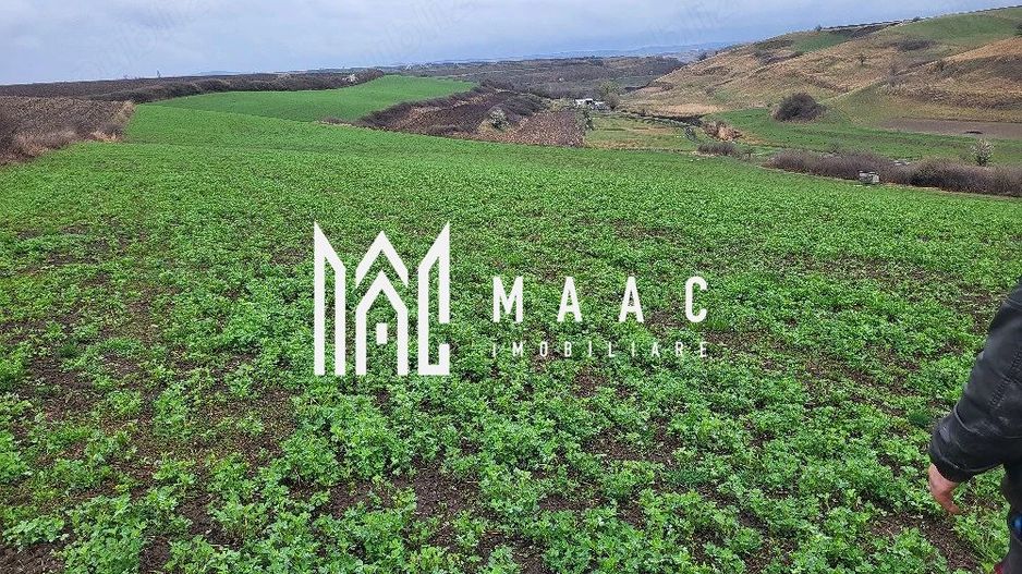 Teren 20500mp I Deschidere 100ml I Compact I Ocna Sibiului - Poză 1