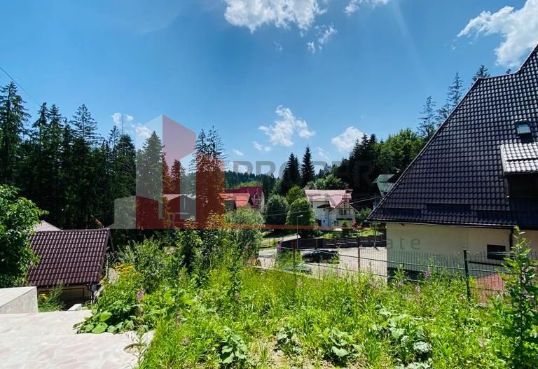 Vila Sinaia - Poză 4