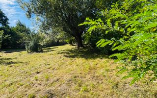 TEREN INTRAVILAN 3234 MP LEREȘTI VOINEȘTI ARGEȘ - Poză 8