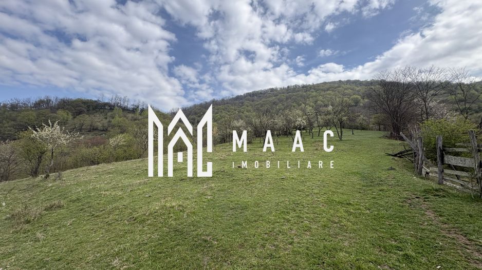 Teren de vânzare, 7750 mp I Orientare sudică I Caineni - Poză 3