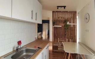 Apartament 2 camere de inchiriat, 47 mp cu terasa 21 mp, str Razoare Vivo - Poză 16