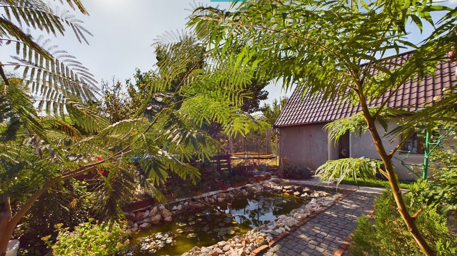 Casă individuală pe un nivel cu 5 camere, Lipova - Poză 10