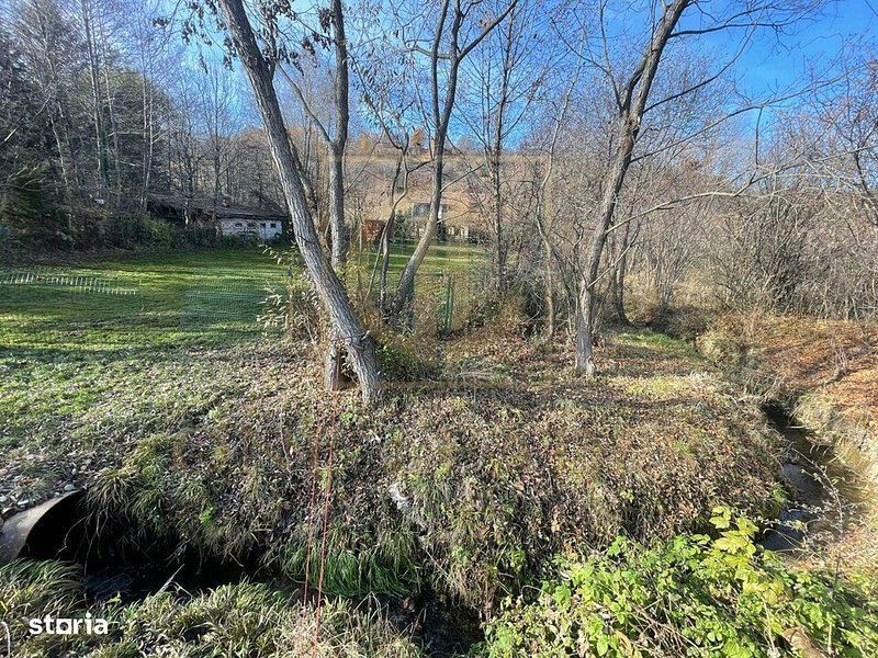 Teren 3349 mp de Vânzare | Bran – Panoramă Munții Bucegi - Poză 12