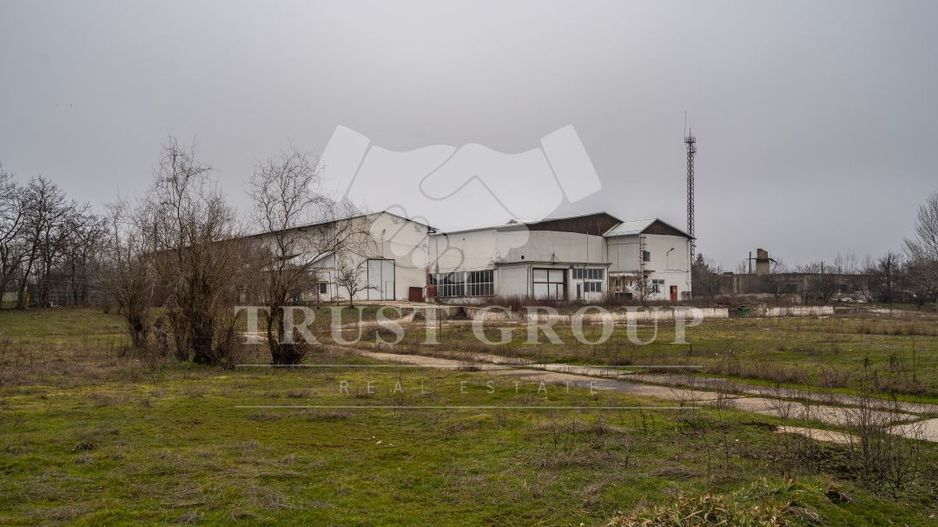 Teren 28.788m + Hale industriale + Sediu Firma - Poză 39