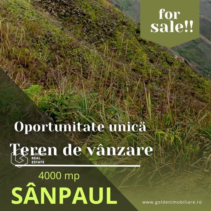 Oportunitate deosebita! Teren 4000 mp, intravilan, Sanpaul - Poză 1