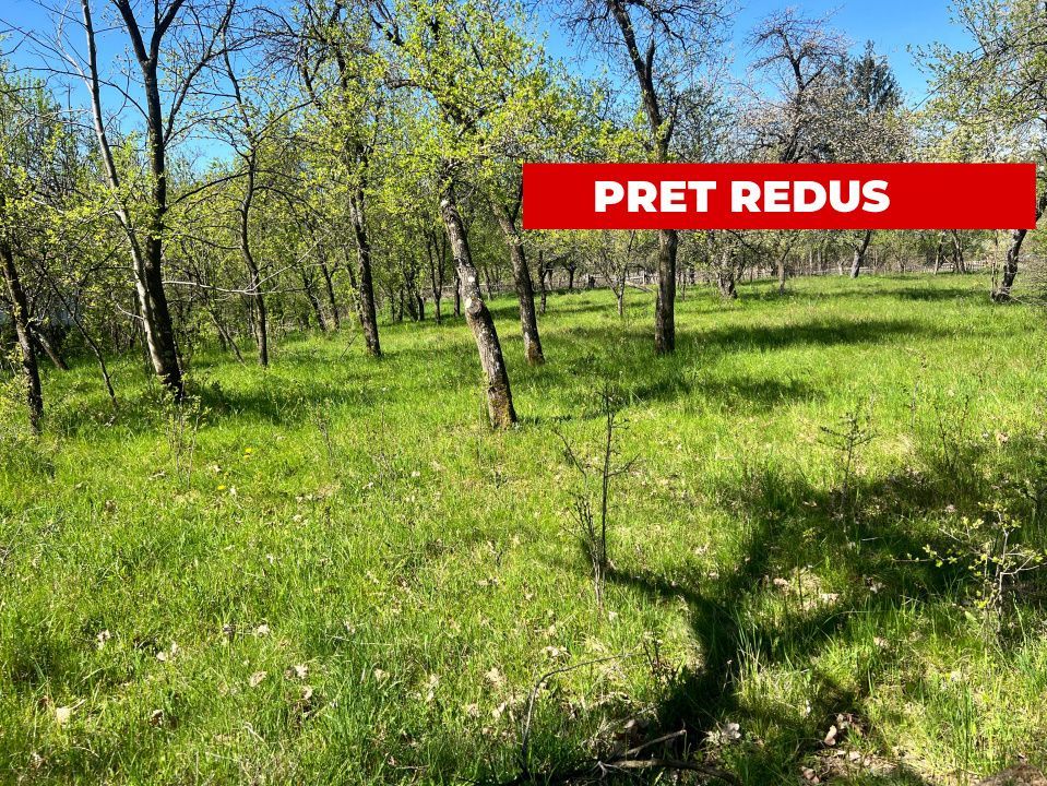 Teren intravilan, Comuna Corbi, Jud. Argeș, toarte utilitatile - Poză 1