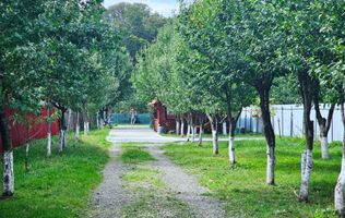 Teren 2000 | Casa | Foisor | Livada | Zizin | Brasov