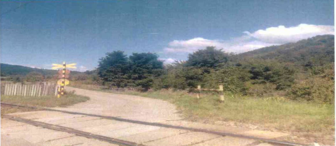 Teren intravilan Vama - Poză 1