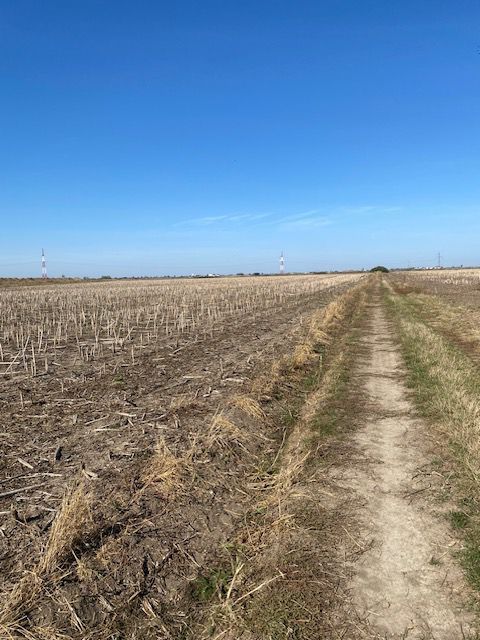 Teren agricol în Zona Sagului - Poză 6