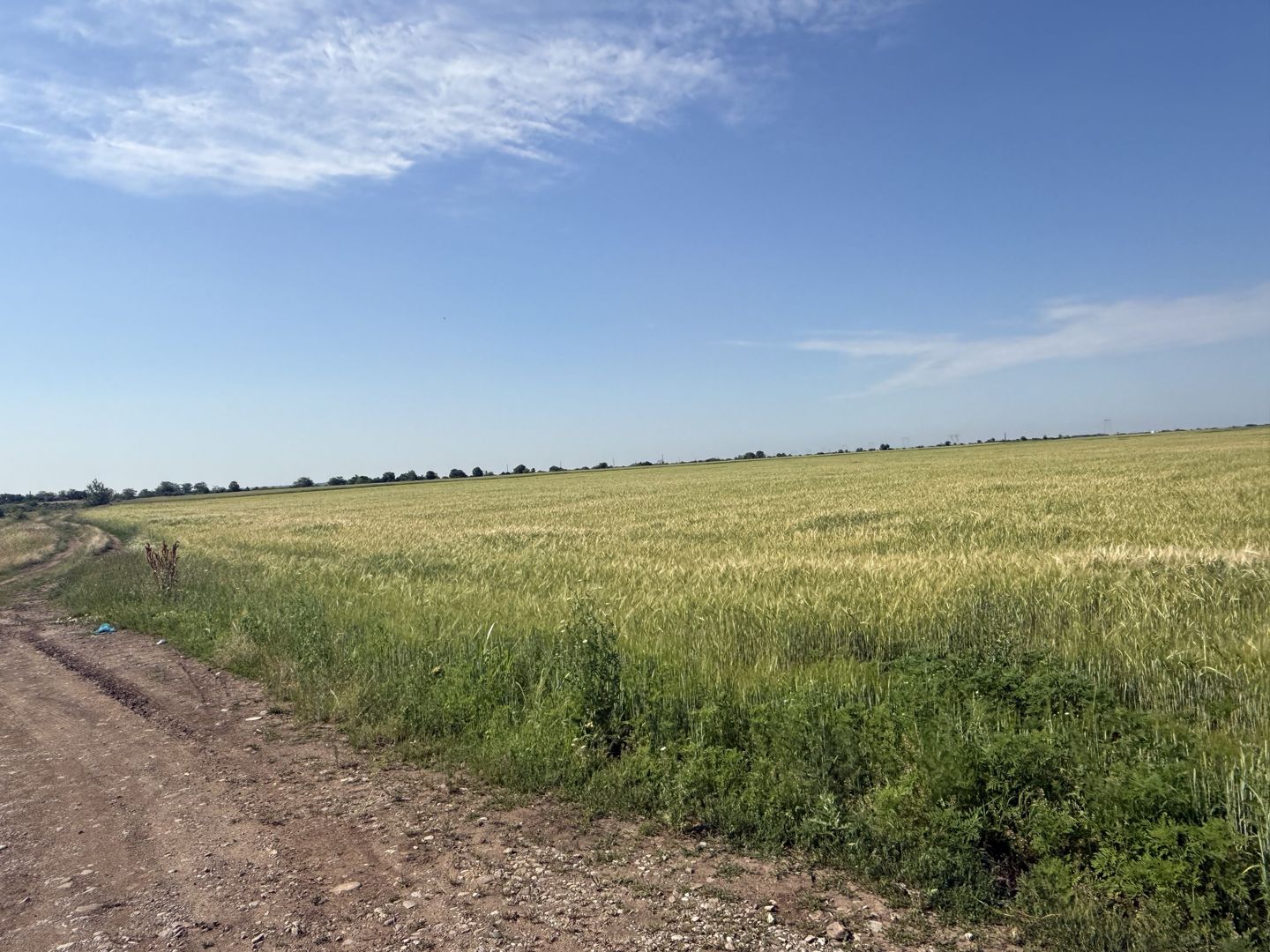 Teren 10 hectare pretabil pt panouri solare-Aricesti Rahtivani - Poză 8