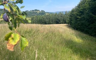 Teren intravilan I Loc deosebit, inconjurat de padure I Vladeasa - Poză 2