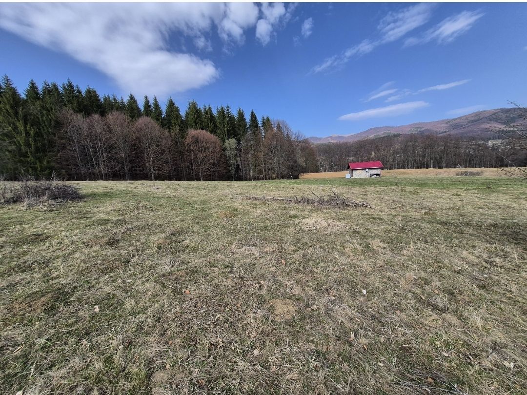 Teren intravilan la baza pădurii Valea Doftanei sat Traisteni (poduri) - Poză 10