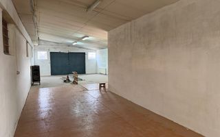 Hală industrială cu poziționare strategică în Giarmata - Poză 19