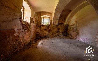 Vila Conac boieresc contelui Fabia 1920 de vânzare Păuliș Arad 2,4 ha - Poză 14