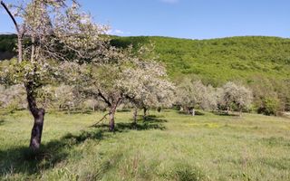 Teren 680mp Budeasa Mica, AG - Poză 7