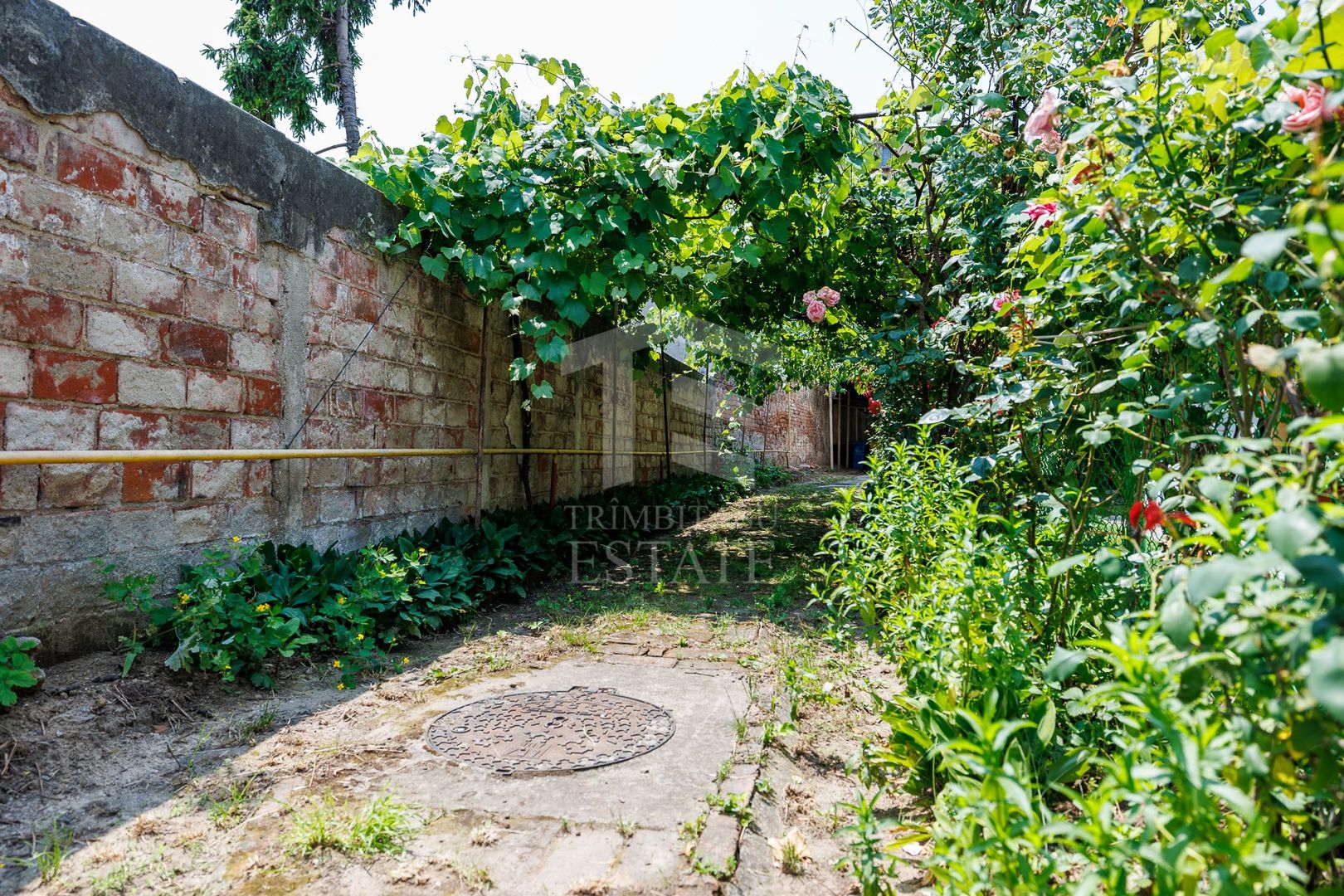 FOISORUL DE FOC | Teren 259mp cu casa veche 9 min metrou Iancului - Poză 5