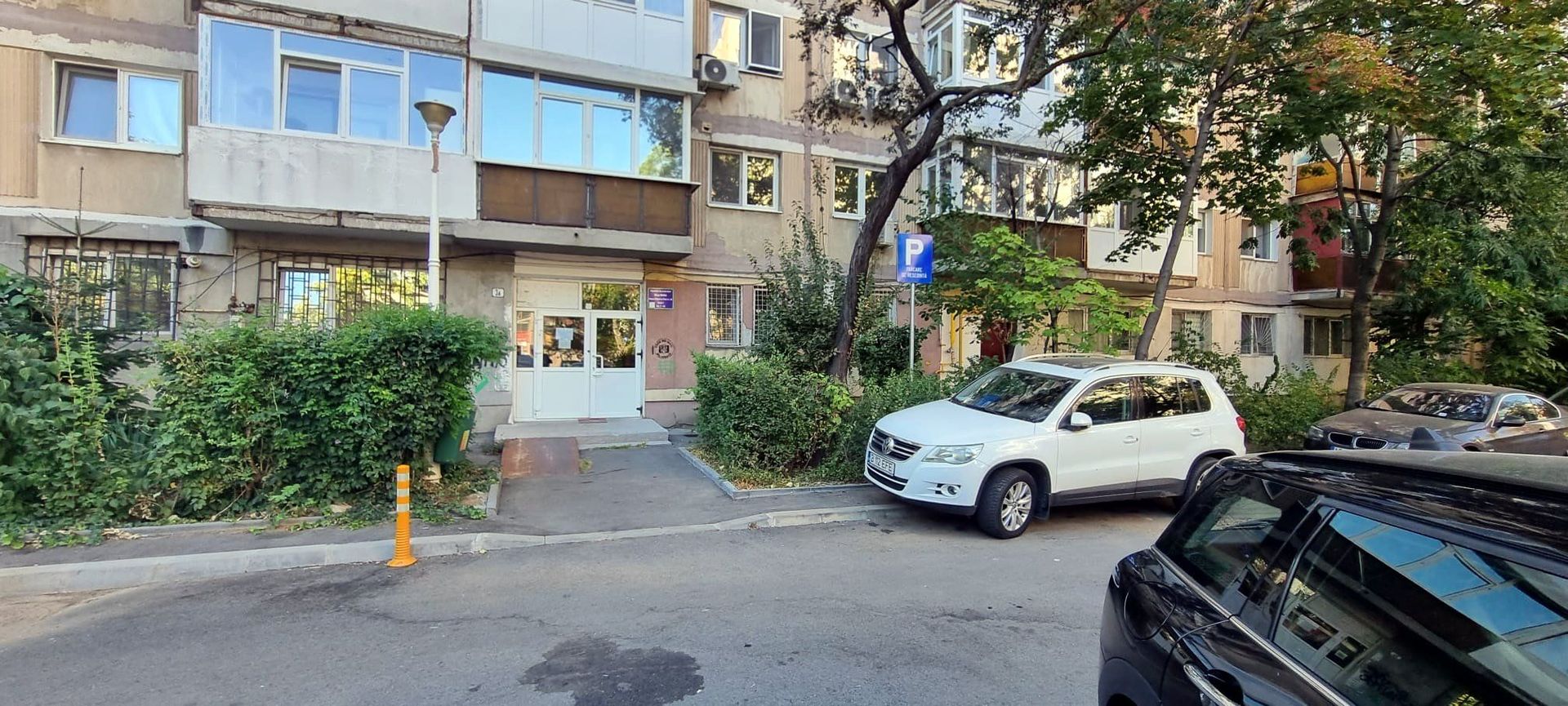 Timisoara Profii - Poză 3