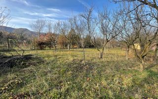 Teren intravilan 1.915 mp + cabană din lemn | Tocile – Sadu - Poză 7