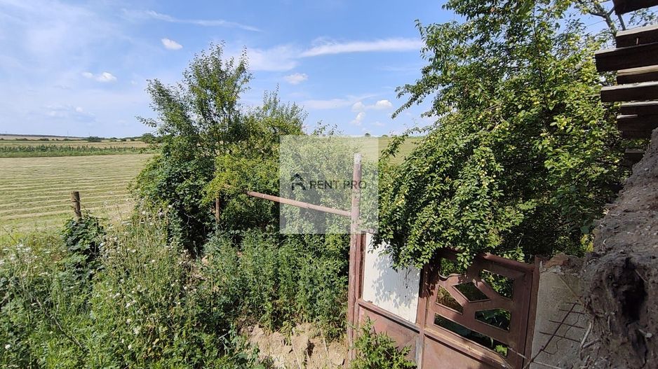 Teren de 11.000 mp cu casă și teren agricol | La 40 km de București | - Poză 17