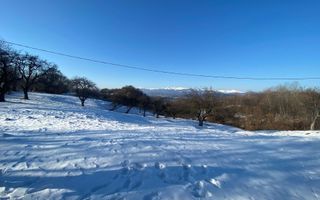 TEREN INTRAVILAN 8522 MP, CAMPULUNG - Poză 2