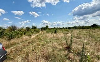 Teren Intravilan 2390mp - parcelabil - Malu Mare - Poză 5