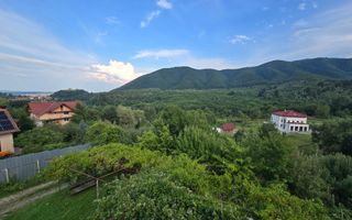 Casa individuala 4 camere teren 3825 mp Cisnadioara - Poză 23