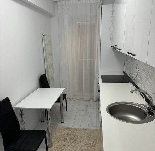 Garsoniera- Teodor Pallady - Poză 8