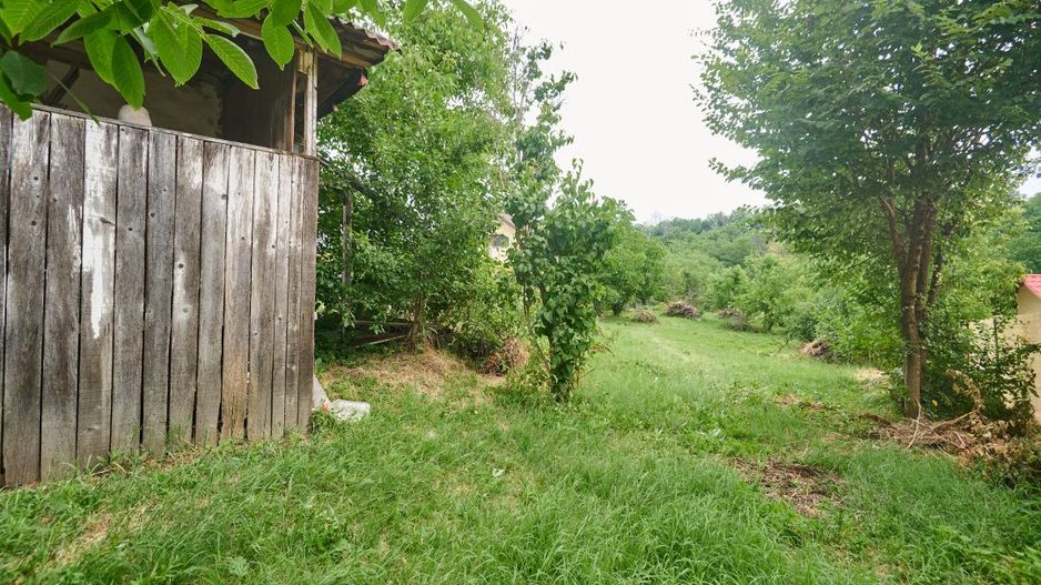 Teren 2240 mp intravilan + casa batraneasca Hintesti-Basangesti - Poză 3
