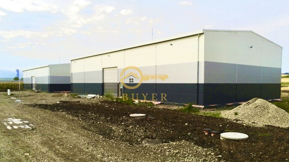 Teren intravilan cu PUZ aprobat pt hale industriale- Zona Sura Mica - Poză 5