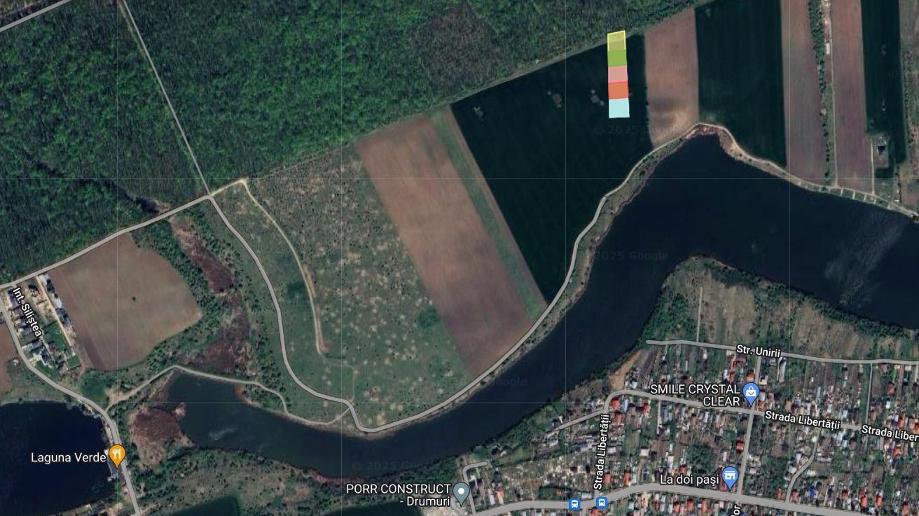 Lot 1000 mp in umbra padurii cu view la lacul academiei din Caciulati - Poză 5