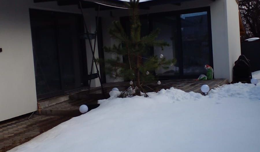 Casa individuala - Poză 7