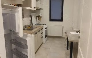 Apartament 1 camera Lunca Cetatuii - Poză 8