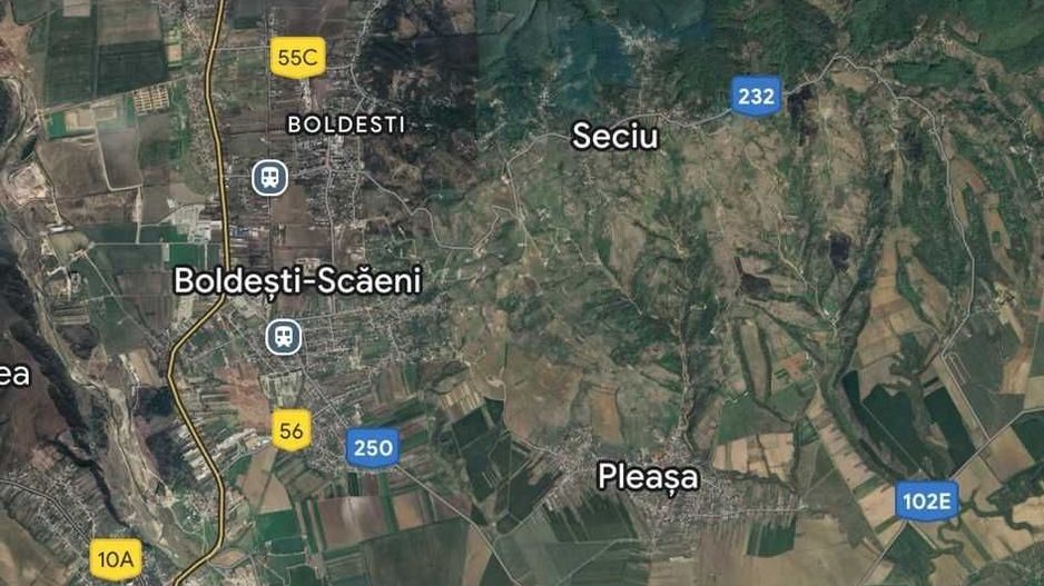 Padure stejar Prahova L328 - Poză 2