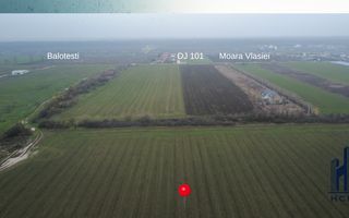Teren de vanzare 10.000 mp | Căciulați, Moara Vlăsiei | Balotesti - Poză 3
