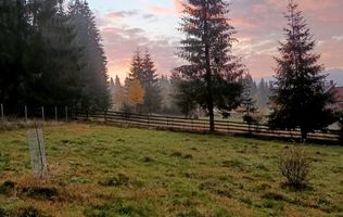 De vanzare teren cu cabana in Smida