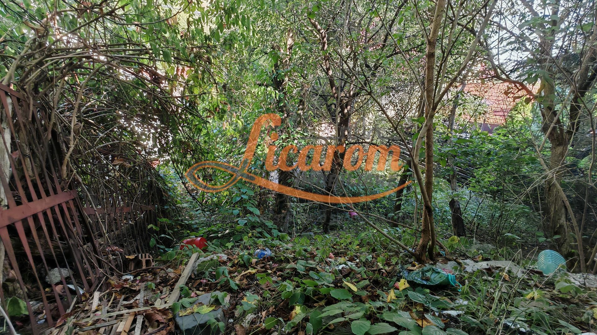 Casa singur in curte zona ZONA ISTORICA langa Seminarul Teologic - Poză 8