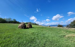 De vanzare 2965 mp teren intravilan, toate utilitatile, Oarda de Sus - Poză 5