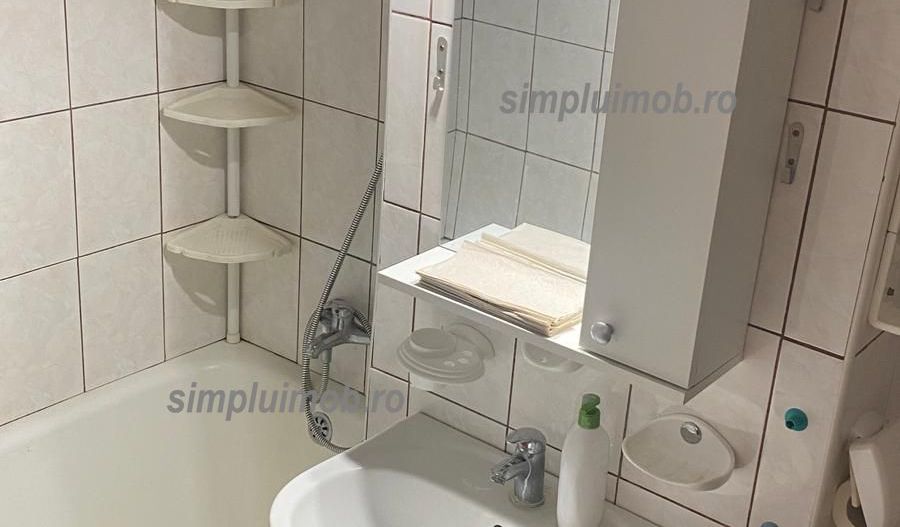 Panoramic Spațios Parcul Plumbuita Colentina Dna Ghica - Poză 11