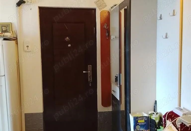 Apartament 1 camera Biziasului - Poză 5