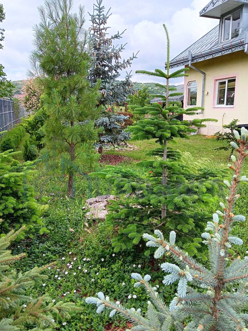 Parter la casa cu etaj, Mogosesti - Iasi, 10 km - Poză 4