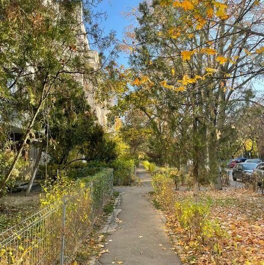 Apartament 2 camere semidecomandat – Parter – Mazepa 1 - Poză 2