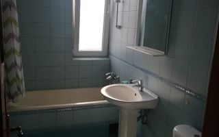 Apartament 2 camere de inchiriat,  Bulevardul Tudor Vladimirescu - Poză 6