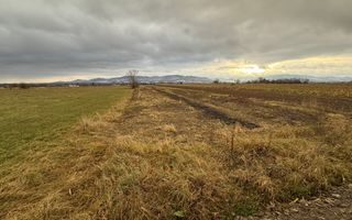 Teren 80 Ari | Vicovu de Sus – Bahna | Front 16.5 - Poză 5